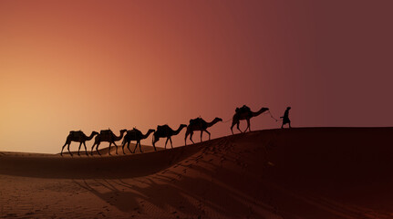 Camel caravan in the desert at sunrise -  Sahara, Morrocco © muratart