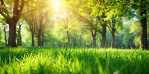Lush green grass covered with a soft