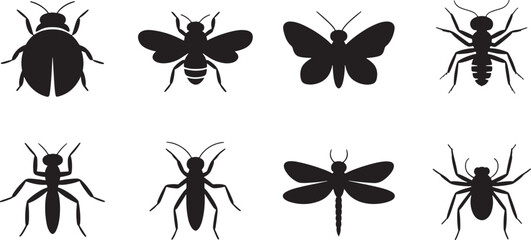 Silhouettes of various insects and bugs in black color on white background design elements