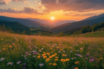 Fototapeta premium Sunset over a mountain meadow. A vibrant display of wildflowers, bathed in the golden light of a beautiful sunset, stretches across a valley in the mountains