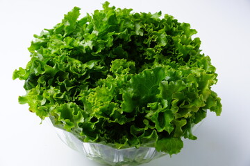 サラダ食材レタス