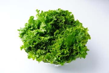 サラダ食材レタス