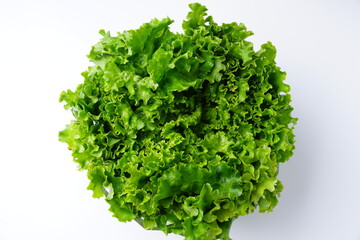 サラダ食材レタス