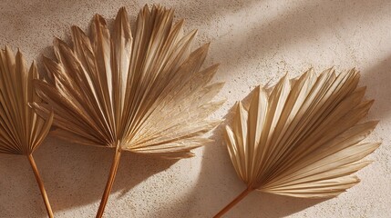 Dried Palm Leaves Fan Arrangement on Sand Background