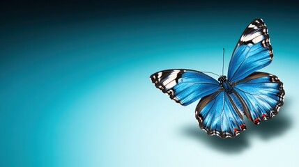 Close-up of a vibrant blue butterfly with intricate wing patterns and delicate antennae perched against a soft gradient cyan background perfect for nature and wildlife themes