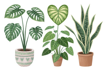 Fototapeta premium Diverse Indoor Plants with Decorative Pots for Home Decor