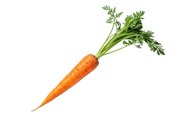 Fresh Carrot with Green Leaves Isolated on White Background