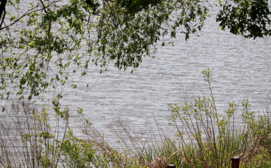 A park scene with a lake on a spring day.
