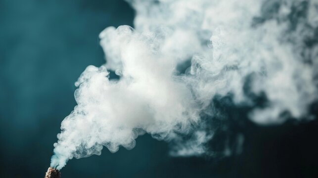 Exploring Allergic Reactions Linked to Environmental Pollutants