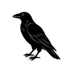 raven silhouette on white background  .svg