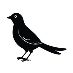 Black silhouette of a cuckoo bird vector art illustration