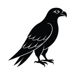 Fototapeta premium Black silhouette of a hawk bird on vector art illustration