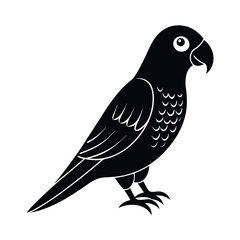  parrot bird white background vector art illustration