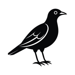 Hanging bird white background vector art illustration.