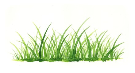 Fototapeta premium Green grass watercolor illustration element