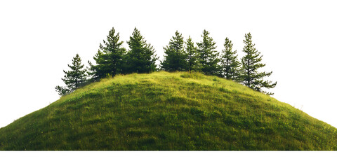 Green hillside with pine trees on top, a beautiful natural landscape