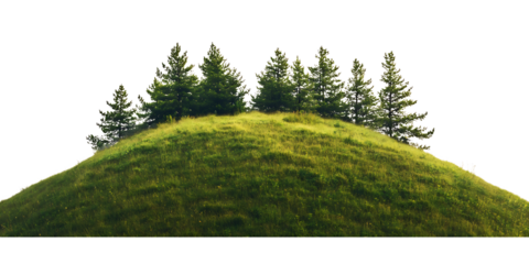 Green hillside with pine trees on top, a beautiful natural landscape