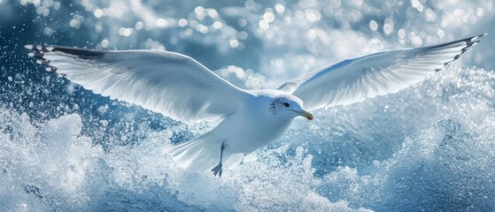 Fototapeta premium White seagull soaring through icy waves.