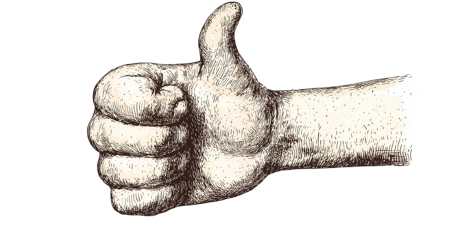 Png of An expressive hand gesture, showing a thumbs up in an intricately detailed illustration. - Powered by Adobe