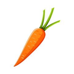 carrot illustration.  suitable for use as a design element with a plantation theme