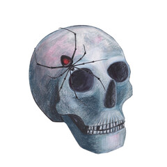 Scull with spider gothic magical texture isolated on white background. Watercolor hand drawn esoterics sketch skull illustration. Art for design mystical halloween witch decoration, scary card