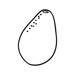 avocado lineart illustration