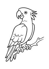 Black and White Parrot Line Drawing