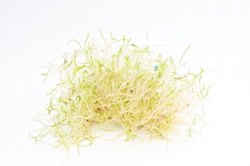 Fresh alfalfa sprouts heap isolated on white background

