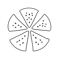 Hand drawn watermelon vector illustration for summer fruit graphics