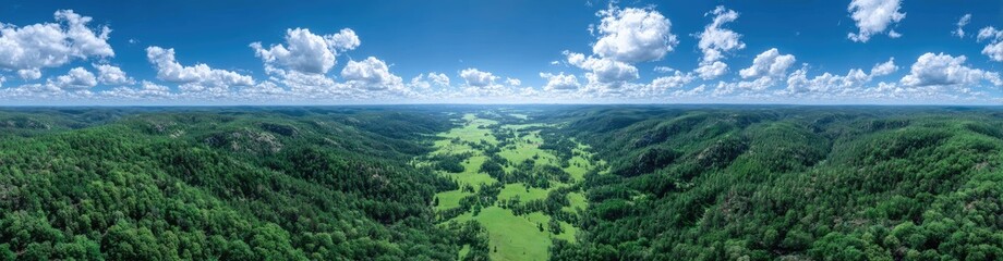 Fototapeta premium Panoramic View Of Lush Green Forest And Grassy Fields