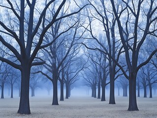 Serene Winter Landscape Misty Morning in a Bare Tree Grove Rows of leafless trees stand tall in a peaceful foggy field