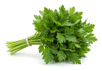Fresh Green Parsley Bunch Isolated White Background Healthy Food Ingredient Cooking Recipe Herb Diet