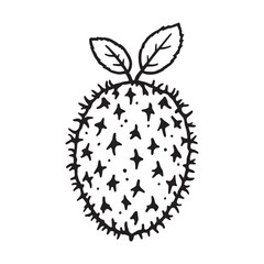 Soursop fruit line art design with clear outlines