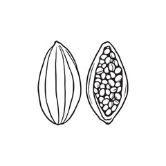 Vector line art of a whole and half cocoa pod