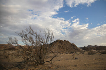 Rugged and arid landscape of the Richtersveld mountains