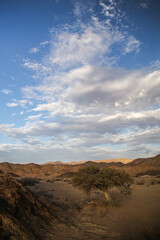 Tree going near large arid mountains in the Richtersveld area with some clouds in the sky