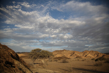 Tree going near large arid mountains in the Richtersveld area with some clouds in the sky