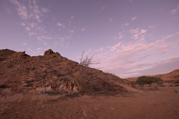 Tree going near large arid mountains in the Richtersveld area with some clouds in the sky