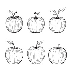 Wood Apple Vector Line Art Illustration