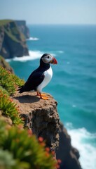 Atlantic puffin perched on rugged cliff edge, overlooking ocean, cliffside, animal