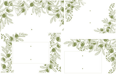 Set of vector frame with elegance olive's branches isolated.