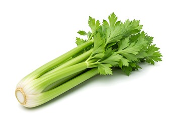 Fresh celery stalk with leaves isolated on white background, healthy eating concept