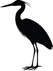  Black silhouette of a heron standing gracefully.