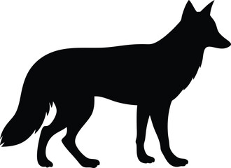 Black silhouette of a walking fox on a white background.