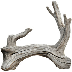 Fototapeta premium A weathered piece of driftwood with intricate textures and shapes, resting against a neutral background, showcasing the beauty of natural wood formations for decorative use