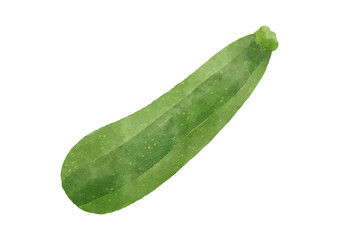 Hand-Painted Whole Green Zucchini – Isolated on White