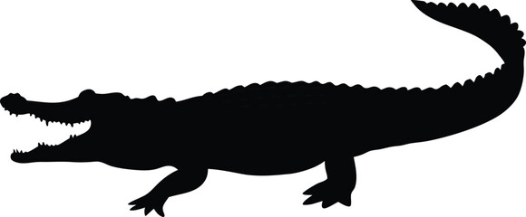 Fototapeta premium Silhouette of an alligator on a white background, vector illustration.