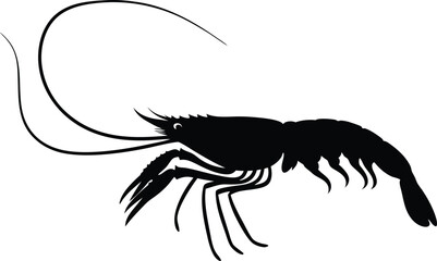 Black silhouette of a shrimp with long antennae, detailed illustration of marine crustacean.
