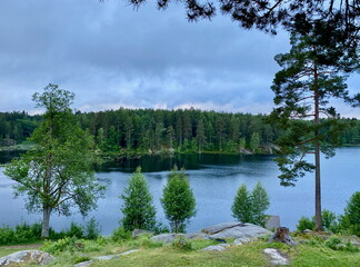 Ulsrudvann Lake and forest in Oslo during summer