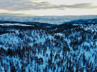 Snowy mountain landscape with pine forest and isolated cabin in Norway